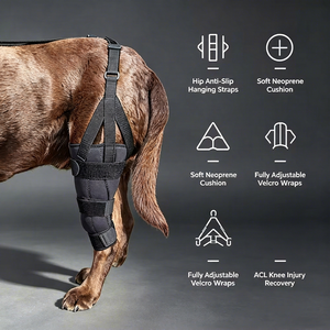 Attelle de genou pour chien pour lésions de la ligament croisé antérieur (LCA) des pattes arrière, support réglable pour la récupération des blessures et la protection des animaux de compagnie - Product Image 4