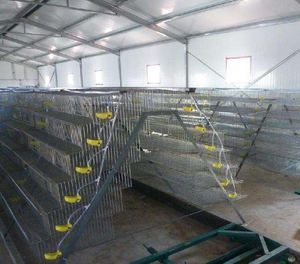 Automatische Kweekkwartelkooi Voor Eierproductie Kwartelkooien Voor Groothandel - Product Image 4