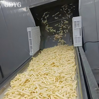 Goede prijs, groothandelskwaliteit, diepvries frites uit China, IQF verwerkt | Bulkverpakkingen | Ideaal voor export en foodservice
