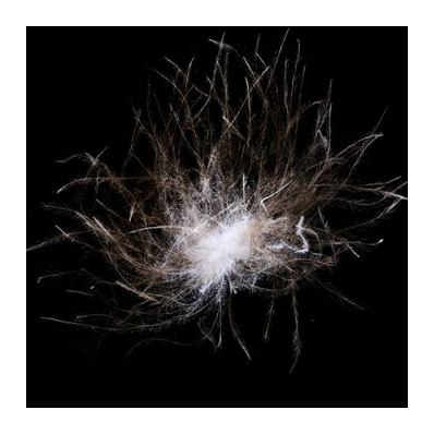 DIGNITY BRAND Wholesale High Quality 70% Washed Grey Duck Down