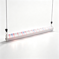 Lampu LED Grow Light Spektrum Penuh IP66 Tahan Air Linear untuk Pertumbuhan Tanaman di Greenhouse Tomat