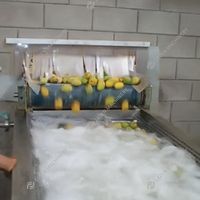 Fabricant de lignes de traitement industrielles complètes en acier inoxydable de qualité export pour fruits et légumes (mangues)