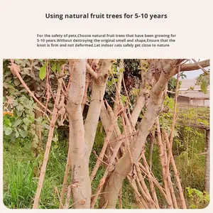 Produsen grosir rotan tenun pohon kucing rumah kayu Solid pohon kucing - Product Image 6