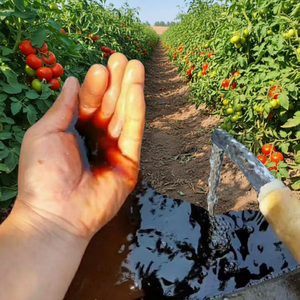 <span class=keywords><strong>Engrais</strong></span> Liquide Organique Humate de Potassium Acide Humique 98% Phosphore <span class=keywords><strong>pour</strong></span> Cultures, Plantes, Sol, Légumes, <span class=keywords><strong>Tomates</strong></span> - Product Image 1