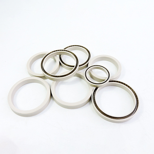 回転式プランジャー計量ポンプ春のエネルギーシール - Product Image 2