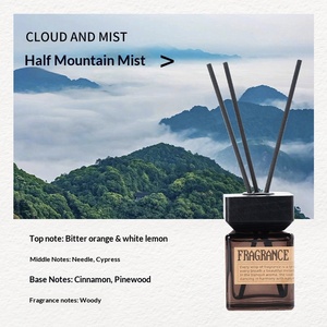 Square Bottle Reed Diffuser With Wooden Square Cap Wood Scent Long Lasting Indoor Fragrance Home Air Freshener - Product Image 2