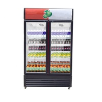 Réfrigérateur Commercial de Gros pour Boissons, Vitrine Réfrigérée 9 Cu.Ft avec Porte Vitrée, Réfrigérateur Commercial pour Boissons