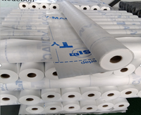 Film PE 100 g/m² laminé, membrane barrière à la vapeur hermétique en polyéthylène pour la construction