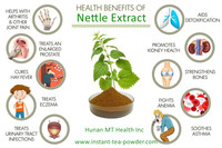 Vente chaude extrait de plante analgésique poudre d'extrait d'ortie/poudre d'extrait d'ortie piquante