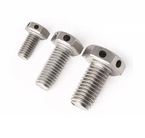 304 thép không gỉ lục giác đầu Bolt với lỗ gb32.1 dây thép lỗ vít M6 M8 <span class=keywords><strong>M10</strong></span> M12 M16 kích thước cho khoan vít - Product Image 6