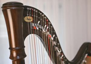 Arpa Irlandesa de 40 Cuerdas al por Mayor - Arpa Profesional de Nogal, Resonancia Rica, Artesanía Premium, Uso en Escenario y Enseñanza - Product Image 2