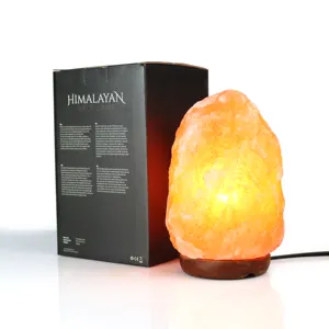 Himalayan Zoutlamp Pakistan Natuurlijke Kristallen Rotssteen Roze Zoutlamp Himalaya Met Dimmer Schakelaar