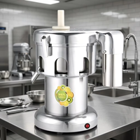 Commerciële koudgeperste sapcentrifuge mango citroen sinaasappel sapcentrifuge machine roestvrij staal voor voedsel- en drankenwinkels restaurants