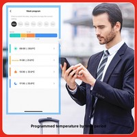 Vanne thermostatique intelligente SIXWGH Zigbee TRV avec écran tactile LCD, contrôle vocal via application, programmation hebdomadaire, WaterGraphene
