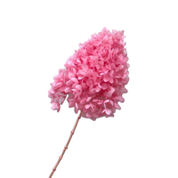 Bunga Hydrangea Kering Alami Asli Grosir, Hydrangea Tower, Hydrangea Cone Awet untuk Dekorasi Rumah, Acara, Hotel, dan Pernikahan