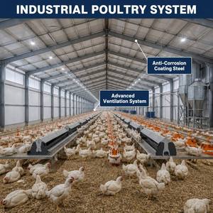 Moderna Granja Avícola Prefabricada de Acero: Diseño de Naves para 1000 Gallinas, Caseta/Corral en Venta - Product Image 1
