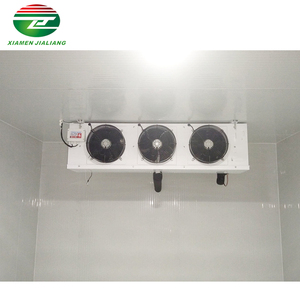 Jialiang Mendukung Layanan Kustom Pendingin Berjalan dan Freezer Pendingin Berjalan Komersial - Product Image 2