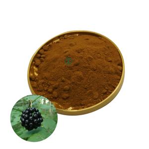 Натуральный Китайский традиционный экстракт женьшеня Eleutherococcus Siberian Eleutheroside E1 экстракт сибирского женьшеня порошок - Product Image 1