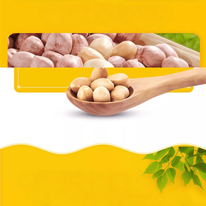 Arachides en vrac, peau rouge, option biologique, lot mixte, acceptable pour les importateurs d'arachides - Product Image 4