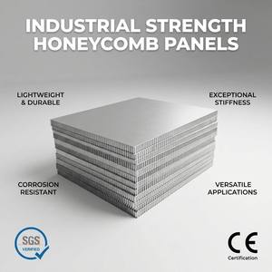 Paneles <span class=keywords><strong>de</strong></span> Encofrado <span class=keywords><strong>de</strong></span> Plástico PP Reutilizables Más <span class=keywords><strong>de</strong></span> 100 Veces - Alta Resistencia, Antiadherentes, Ecológicos, Tamaño Ajustable, 4 Años <span class=keywords><strong>de</strong></span> Garantía - Product Image 2