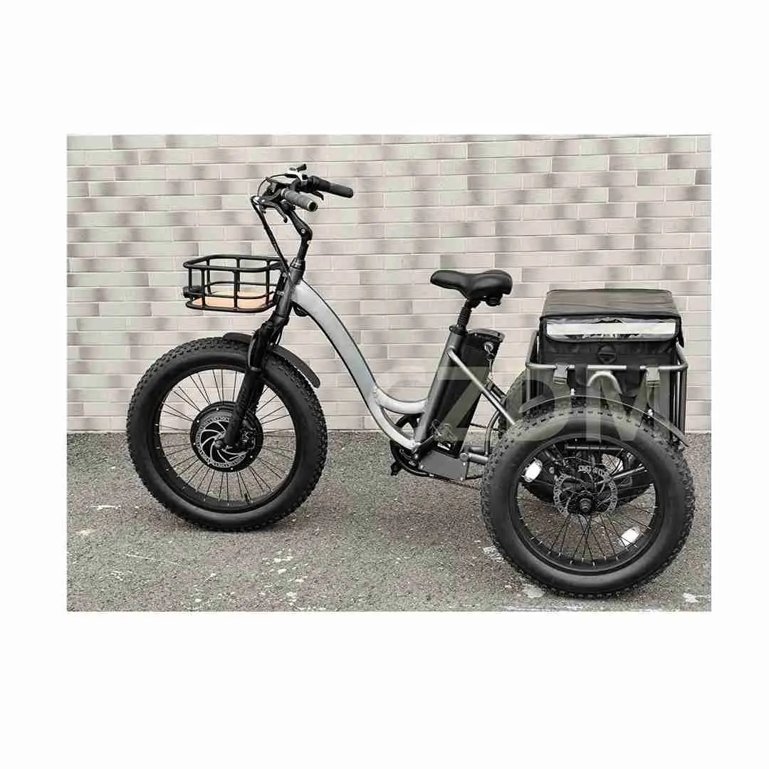 Czdm 1000W 20 inch Ba bánh điện ba bánh 3 bánh xe điện xe đạp chở hàng ba bánh taxi Moto