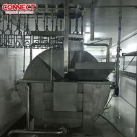 Usine de traitement d'abattage automatique de volaille Refroidisseur d'eau à vis pour sous-produits de poulet Acier inoxydable 304 Refroidissement haute capacité