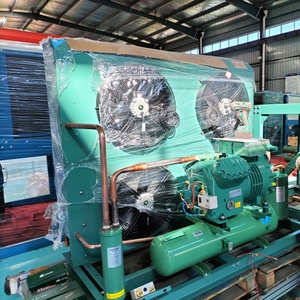 Unidad de Condensación de Baja Temperatura de Alta Eficiencia de 4HP, Planta de Refrigeración Sub-Cero para Congelador de Mariscos - Product Image 5