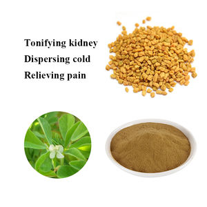Fabriekslevering Van Puur Natuurlijk Organisch Fenegriekzaad <span class=keywords><strong>Extract</strong></span> Bulk Saponinen 50% Fenegriekpoeder - Product Image 3