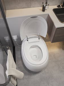 Умный туалет с резервуаром для воды - Product Image 4