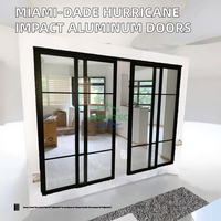 Ventanas Horizontales de Hierro/Acero de Primera Calidad, Eficientes Energéticamente, con Diseño Francés, Resistentes a Huracanes, para Uso en Exteriores