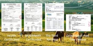 ヘルシーライフ卸売 ニュージーランド産グラスフェッドビーフオーガンパウダー BSE/TSEフリー 牛骨髄パウダー - Product Image 4