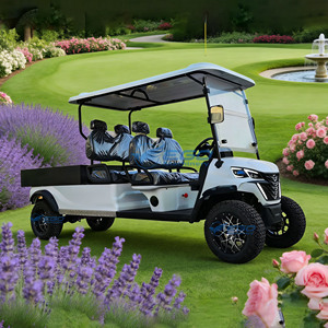 Carrito de Golf Eléctrico de Alta Capacidad con Batería de Litio de 72V, 4 Plazas, Color Blanco, Homologado para Circular por la Calle, Tracción 4x4, con una Autonomía de Más de 100 km, en Venta, Modelo 2025 - Product Image 2