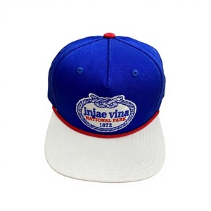 Custom 6 Panel <b>Flat</b> Brim Snapback <b>Hat</b> with 3D Embroidery Mesh Canvas Street Fashion Cap - Product Image 2