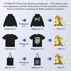 A3ปริ้นเตอร์ดิจิตอล DTF 30cm เครื่องพิมพ์เสื้อยืดฟิล์มถ่ายโอนความร้อนสำหรับธุรกิจขนาดเล็ก - Product Image 5