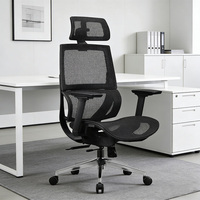 Fauteuil de Direction Ergonomique Moderne et Contemporain en Maille avec Accoudoirs en Métal Chromé 3D et Revêtement PU, Réglable et Pivotant pour Bureau à Domicile et Atelier