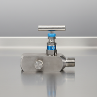 Vanne de régulation 316SS en acier au carbone à commande manuelle par levier, haute température, pour systèmes de mesure industriels d'huile, de gaz et de produits chimiques, 6000 Psig