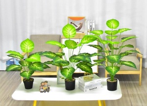 ใบประดิษฐ์,<span class=keywords><strong>ต้น</strong></span>สับปะรดสีเขียว<span class=keywords><strong>บอน</strong></span>ไซสำหรับตกแต่งบ้านสำนักงานโรงแรม - Product Image 5