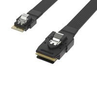 PCIe 4.0 SlimSAS 8i SFF-8654 to MINI SAS 36P SFF8087 24 Gb/s 50CM 80CM kabel Server Hard Disk untuk aplikasi elektronik