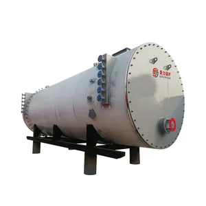 Caldera de sistema de aceite térmico de bobina de calor horizontal industrial de China para fábrica