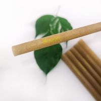 Pailles jetables en fibre de canne à sucre, alternative écologique au plastique et au papier, fabriquées à partir de PLA de canne à sucre