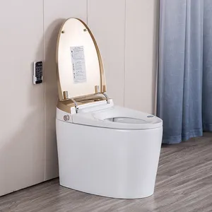 西式自冲自动马桶，浴室智能加热座椅智能电动马桶