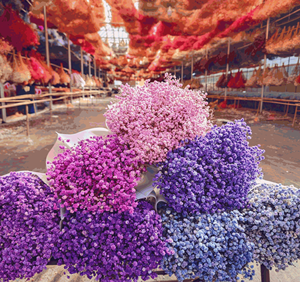 Prix bas, haute qualité, décoration de bouquet de mariage, fleurs séchées naturelles Gypsophila, toucher réaliste, Gypsophila préservée. - Product Image 3