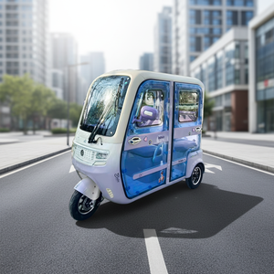 Nuevo Estilo Yudian First Class L9, Triciclo para Adultos Cerrado, de Alta Calidad y Espacioso - Product Image 1