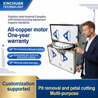 Automatische Longan-ontpitter, abrikozenontpitter, zaadverwijderaar, fruitverwerkingsmachine met motor, hoge capaciteit 48 stuks/min