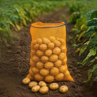 Sac en filet durable avec cordon de serrage pour l'emballage de légumes, pommes de terre et oignons
