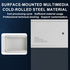 Boîtier d'information multimédia FTTH, boîtier en acier, montage mural, panneau en plastique, personnalisable, armoire de câblage réseau intégrée pour intérieur - Product Image 3