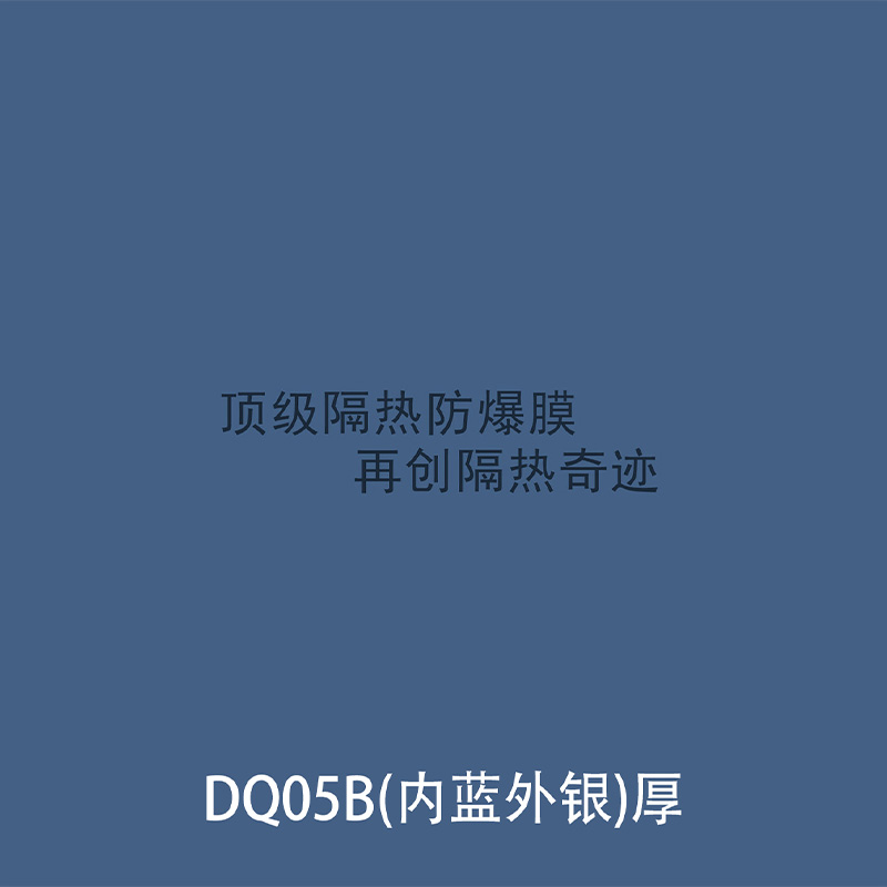 DQ05b(inside blue ouside sliver)