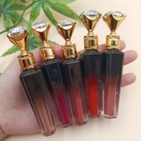 Gloss à lèvres liquide, haute pigmentation, lisse, longue tenue, léger, pour usage quotidien, maquillage des lèvres pour femmes, cosmétiques, rouge à lèvres, gloss