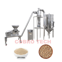 Machine industrielle à épices, équipement de broyage pour poudre de curcuma, farine, sucre, riz, aliments, machine à broyer le piment, moulin broyeur