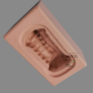 Modèle <span class=keywords><strong>de</strong></span> vertèbre cervicale <span class=keywords><strong>de</strong></span> C1 à C7: os simulé, os artificiel, support <span class=keywords><strong>de</strong></span> base d'os <span class=keywords><strong>de</strong></span> pratique - Product Image 3